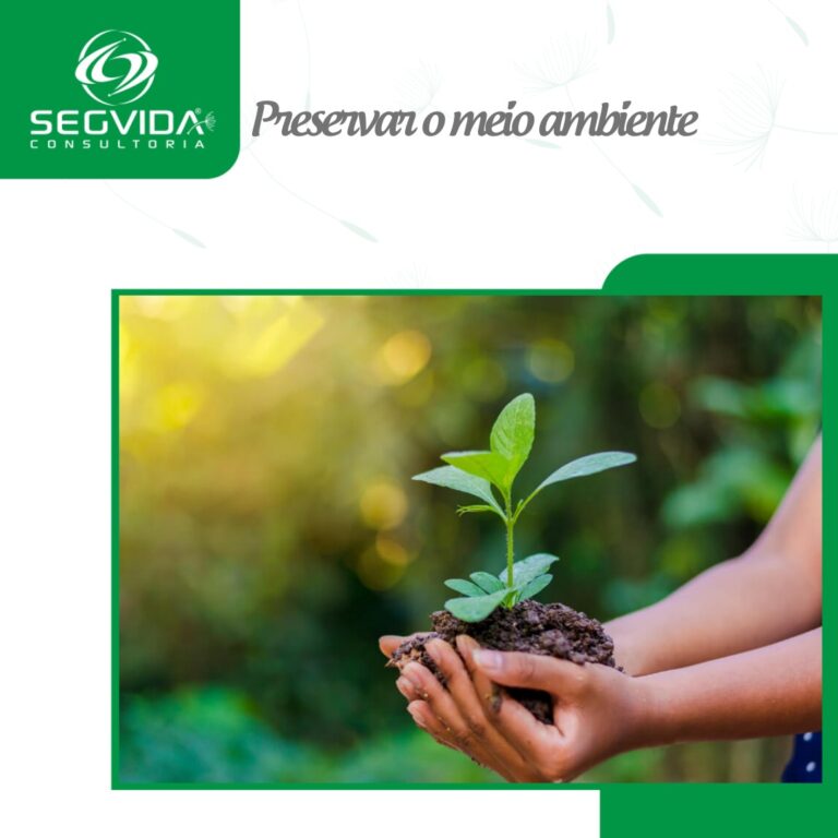 Dicas Importantes Para Preservar O Meio Ambiente Segvida