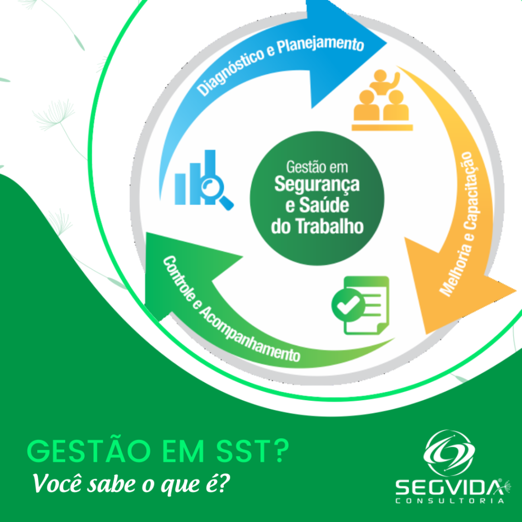 GestÃo Em Sst Você Sabe O Que é • Segvida 1641