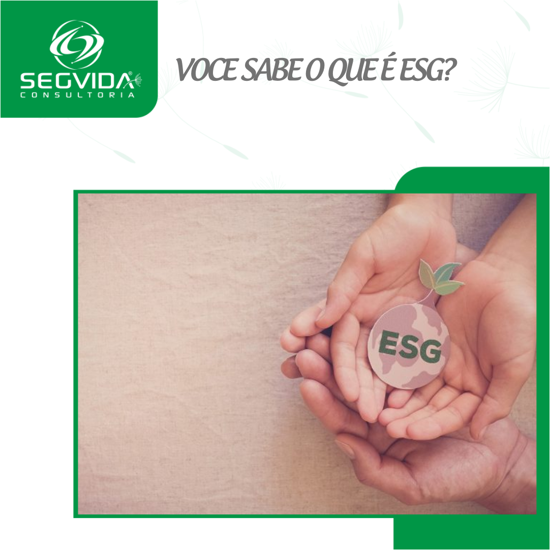 VocÊ Sabe O Que É Esg • Segvida 