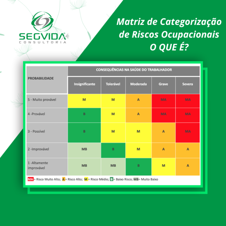 Matriz De Categorização De Riscos Ocupacionais O Que É • Segvida 9501