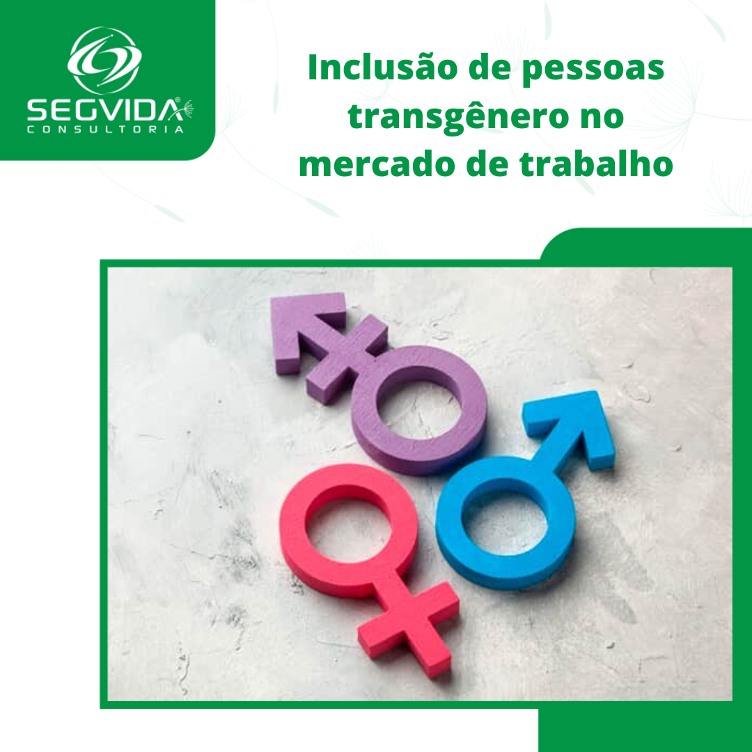 Inclusão De Pessoas Transgênero No Mercado De Trabalho • Segvida 5969